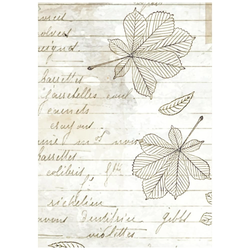 Stamperia riisipaperit Herbarium Silvae, Backgrounds, A6