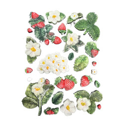 Stamperia muotti Hidden Grove, Strawberries, A5