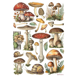 Stamperia riisipaperi Mushrooms