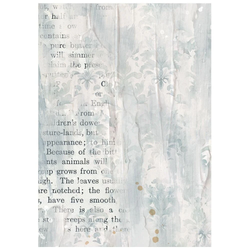 Stamperia riisipaperit Secret Diary, Backgrounds, A6