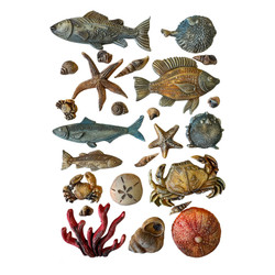 Stamperia muotti Silent Sea, Shells and Fish, A5