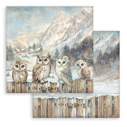 Stamperia The Owl's House skräppipaperi Owls