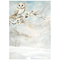 Stamperia riisipaperit The Owl's House, Backgrounds, A6