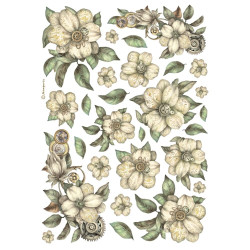 Stamperia riisipaperi White Flowers