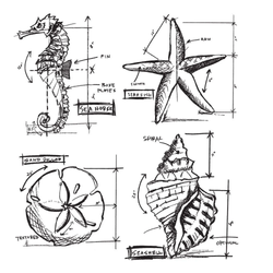Stampers Anonymous, Tim Holtz leimasin Nautical Blueprint