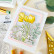 Pinkfresh Studio stanssi Single Stitch Rectangle