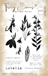 Tracy Evans leimasin Lobelia