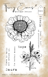 Tracy Evans leimasin Zinnia