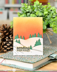 Waffle Flower stanssi Snowy Hills