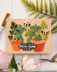 Waffle Flower stanssi Pots and Plants