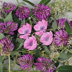 Kesämalvikki  -koivuvaneri-