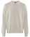 Brockton Crew -puuvillaneule, Offwhite
