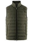 Delano Vest, Dk Green