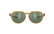 GLAMSHADY, Crystal Butterscotch Gloss - Green