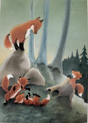 Villit viikarit, kuva Kaarina Toivanen