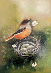 Kuukkelin pesäpuuhat KT303