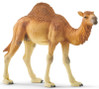 Schleich 14832 Dromedaari 