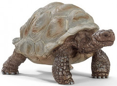 Schleich 14824 Jättiläiskilpikonna 