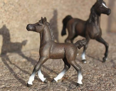 Papo 51506 Arabialainen varsa, musta