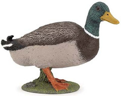 Papo 51155 Sinisorsa, koiras