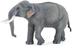 Papo 50131 Aasiannorsu 