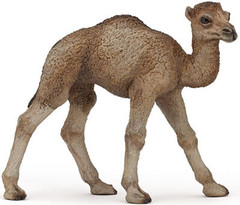 Papo 50166 Dromedaari, vasikka
