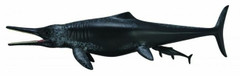 CollectA 88724 Temnodontosaurus Platyodon, synnyttää