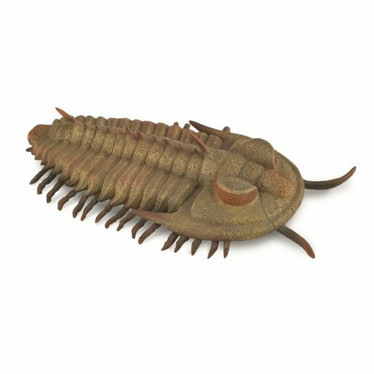 CollectA 88906 Redlichia rex trilobiitti
