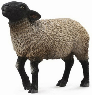 CollectA 88636 Lammas, uuhi Suffolk