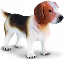 CollectA 88177 Beagle