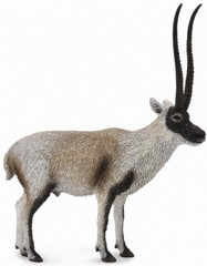 CollectA 88721 Tiibetinantilooppi