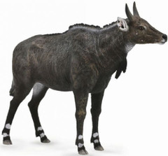 CollectA 88764 Nilgau - Nilgauantilooppi
