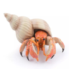 Papo 56054 Erakkorapu