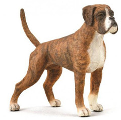 CollectA 88936 Bokseri