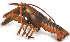 CollectA 88920 Hummeri