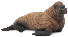 CollectA 88570 Mursu, poikanen