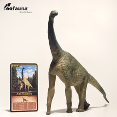 Eofauna 004 Atlasaurus imelakei 