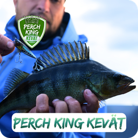 Ahvenen kalastuskilpailu - Perch King KEVÄT | 1.5.-30.6.2026