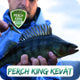 Ahvenen kalastuskilpailu - Perch King KEVÄT | 1.5.-30.6.2026