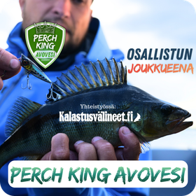 Perch King AVOVESI - joukkueena osallistuville | 1.5.-31.10.2026
