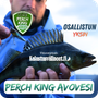 Perch King AVOVESI - yksin osallistuville | 1.5.-31.10.2026 