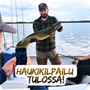 HAUKIKILPAILU - PIKE KING