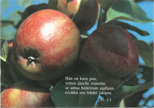 Raamatunlausekortti – Psalmi 1:3