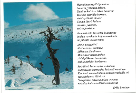 Runokortti – Hattarapilvi ja tunturin kelo (Erkki Leminen)