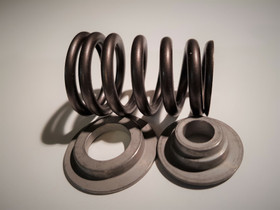 Kartiojousisarja IMZ