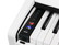 Digitaalipiano Medeli DP280K W