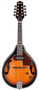 Mandoliini Ibanez 510 EBS, mikitetty