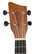 Konserttiukulele Gewa Wildlife K-CO-LIZ