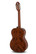 Nylonkitara 7/8 Gewa Student Solid Top