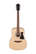 Teräskielinen kitara Ibanez V40-OPN